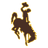 Wyoming Cowboys logo